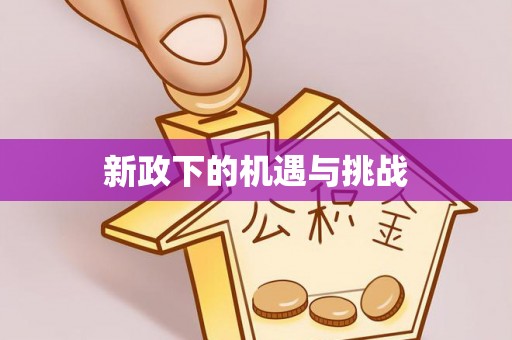 新社新政下的机遇与挑战