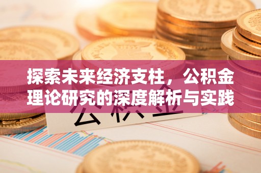 新社探索未来经济支柱，公积金理论研究的深度解析与实践意义