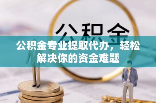 新社公积金专业提取代办，轻松解决你的资金难题
