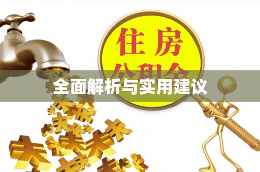 新社全面解析与实用建议
