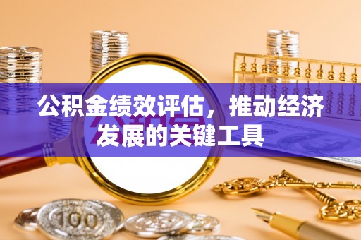 新社公积金绩效评估，推动经济发展的关键工具