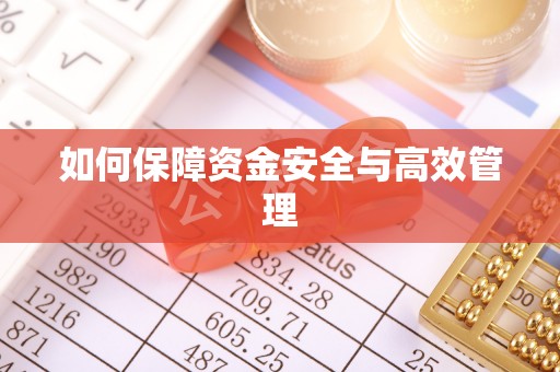 新社如何保障资金安全与高效管理