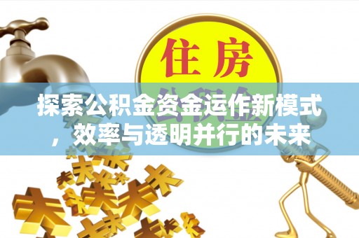 新社探索公积金资金运作新模式，效率与透明并行的未来