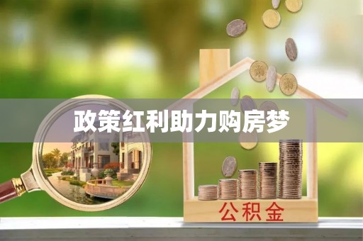 新社政策红利助力购房梦
