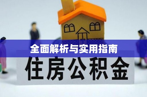新社全面解析与实用指南