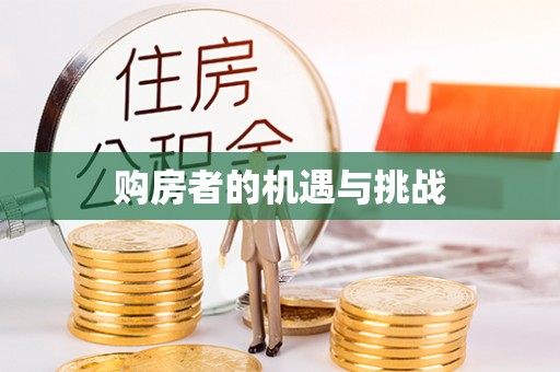 新社购房者的机遇与挑战