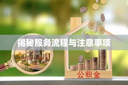 新社揭秘服务流程与注意事项