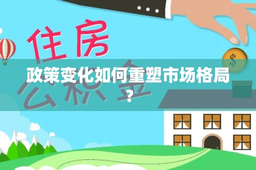 新社政策变化如何重塑市场格局？