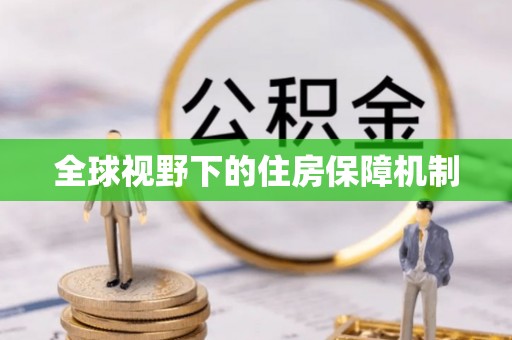 新社全球视野下的住房保障机制