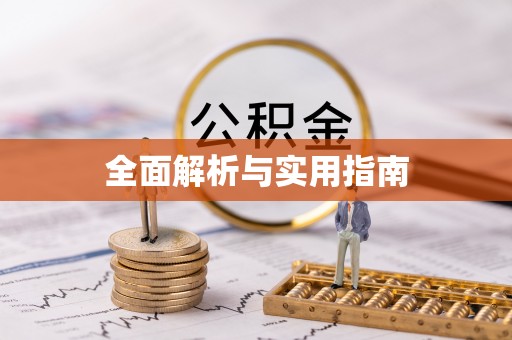 新社全面解析与实用指南