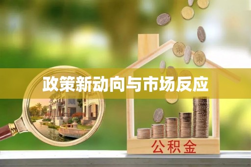 新社政策新动向与市场反应
