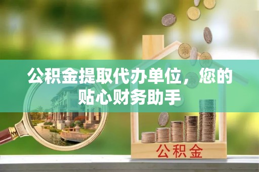 新社公积金提取代办单位，您的贴心财务助手