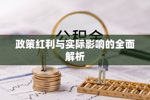 新社政策红利与实际影响的全面解析