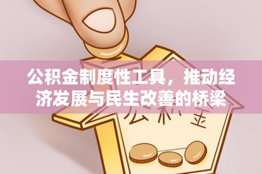 新社公积金制度性工具，推动经济发展与民生改善的桥梁
