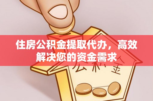 新社住房公积金提取代办，高效解决您的资金需求