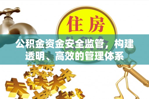 新社公积金资金安全监管，构建透明、高效的管理体系