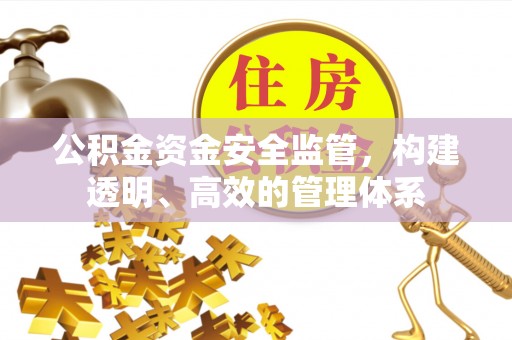 新社公积金资金安全监管，构建透明、高效的管理体系