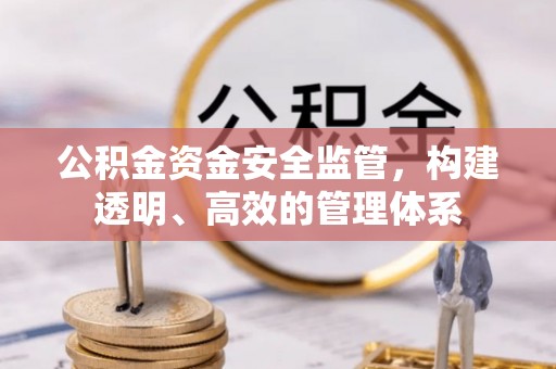 新社公积金资金安全监管，构建透明、高效的管理体系