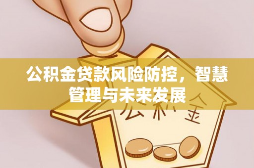 新社公积金贷款风险防控，智慧管理与未来发展