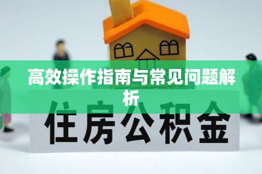 新社高效操作指南与常见问题解析