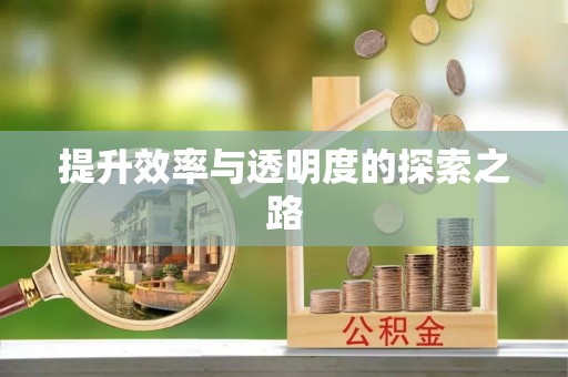 新社提升效率与透明度的探索之路