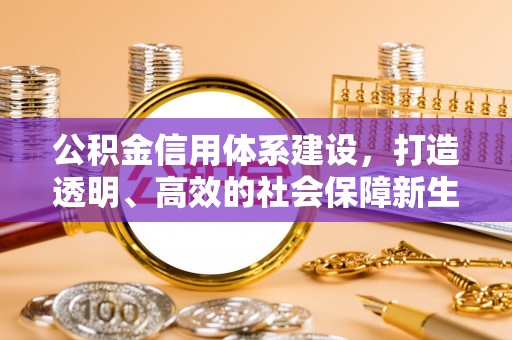 新社公积金信用体系建设，打造透明、高效的社会保障新生态