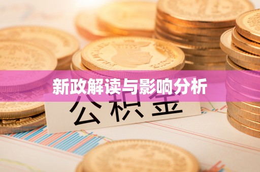 新社新政解读与影响分析