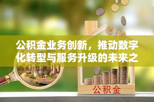 新社公积金业务创新，推动数字化转型与服务升级的未来之路