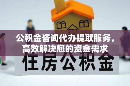 新社公积金咨询代办提取服务，高效解决您的资金需求