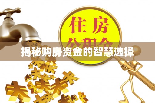 新社揭秘购房资金的智慧选择