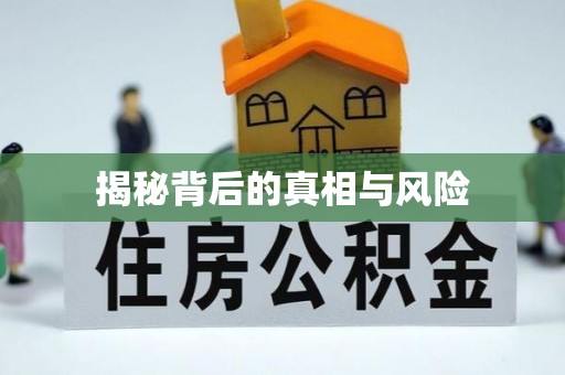 新社揭秘背后的真相与风险