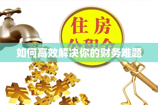 新社如何高效解决你的财务难题