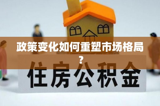 新社政策变化如何重塑市场格局？