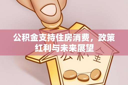 新社公积金支持住房消费，政策红利与未来展望