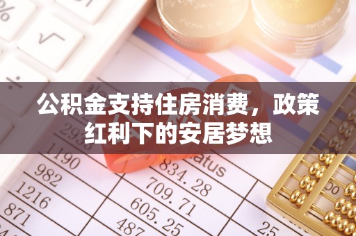 新社公积金支持住房消费，政策红利下的安居梦想