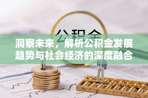 新社洞察未来，解析公积金发展趋势与社会经济的深度融合