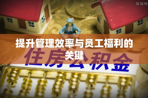 新社提升管理效率与员工福利的关键
