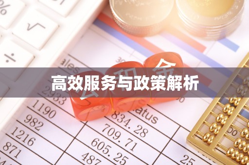 新社高效服务与政策解析