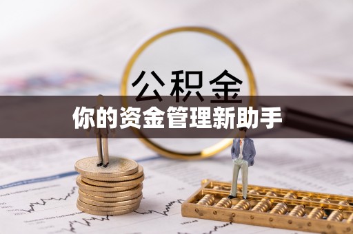 新社你的资金管理新助手