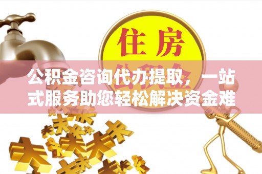 新社公积金咨询代办提取，一站式服务助您轻松解决资金难题