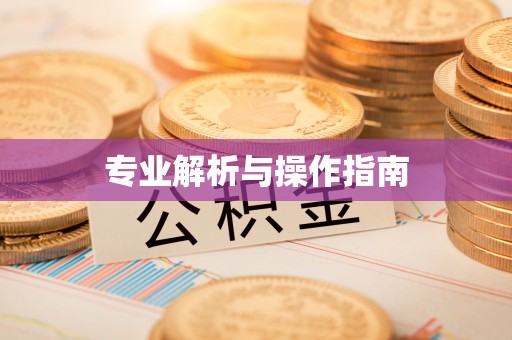 新社专业解析与操作指南