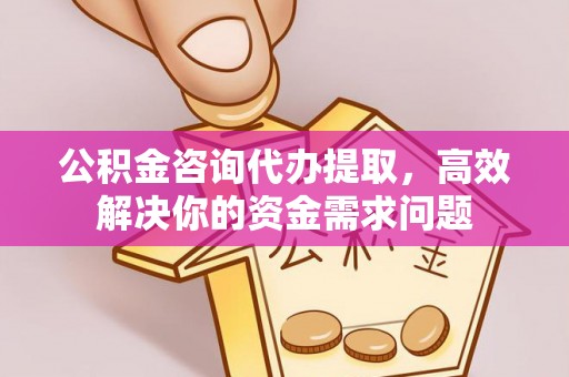 新社公积金咨询代办提取，高效解决你的资金需求问题