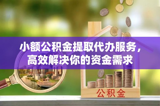 新社小额公积金提取代办服务，高效解决你的资金需求