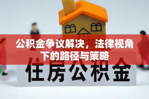 新社公积金争议解决，法律视角下的路径与策略