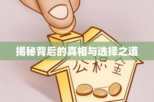 新社揭秘背后的真相与选择之道