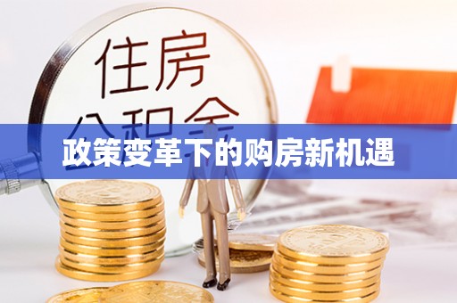 新社政策变革下的购房新机遇