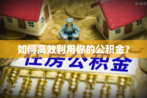 新社如何高效利用你的公积金？