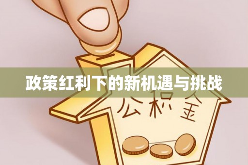 新社政策红利下的新机遇与挑战