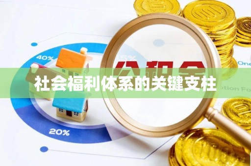 新社社会福利体系的关键支柱