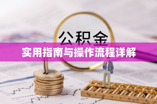 新社实用指南与操作流程详解